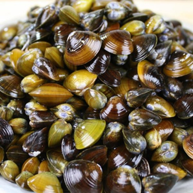 섬진강 생재첩1kg, 단품