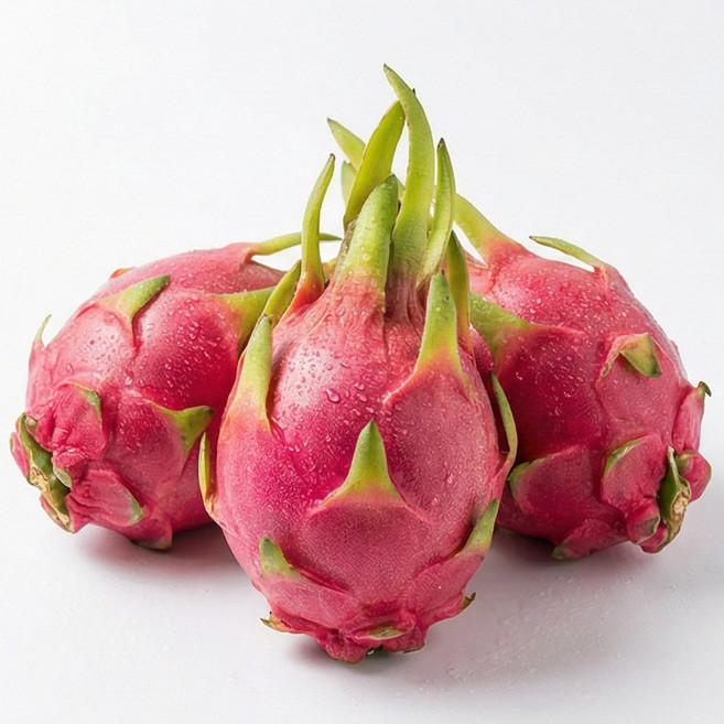 베트남 신선한 생과 용과 적용과 2.5kg/5kg Dragon fruit vetnam, 1박스, 적용과 5kg (9~10과)