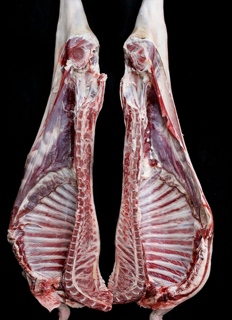 단단푸드 호주산 수입산 염소고기 냉동 수육 전골 식당납품 한마리 14kg, 1개