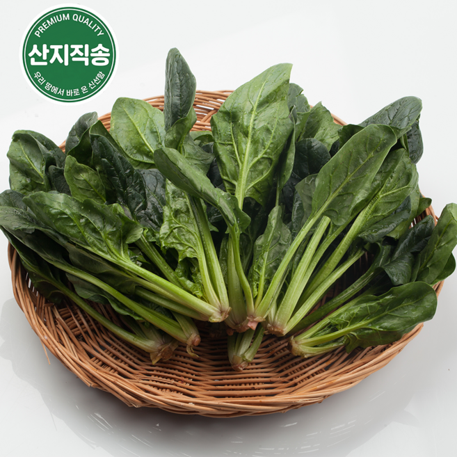 [당일수확] 국내산 남해 해풍 시금치 (뿌리까지 달콤한 명품 시금치) 산지직송, 1개, 4kg