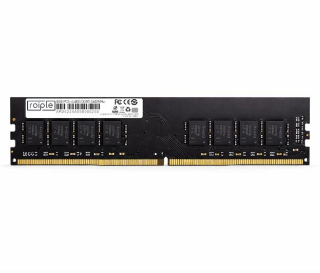 ROIPLE DDR5 PC5-44800 [8GB] (5600), 1개, DDR5_8G_5600_DIMM
