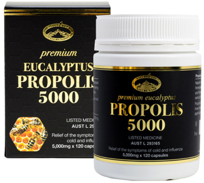 네이쳐스탑 프리미엄유칼립투스 프로폴리스 5000mg 120정, 1개