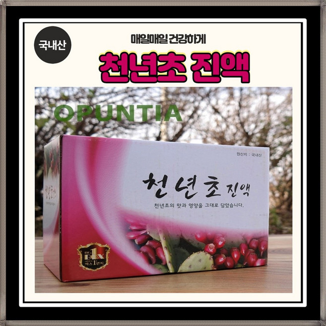 국내산 천년초진액 열매즙/줄기즙 100ml x60포(1박스), 1개, 6L