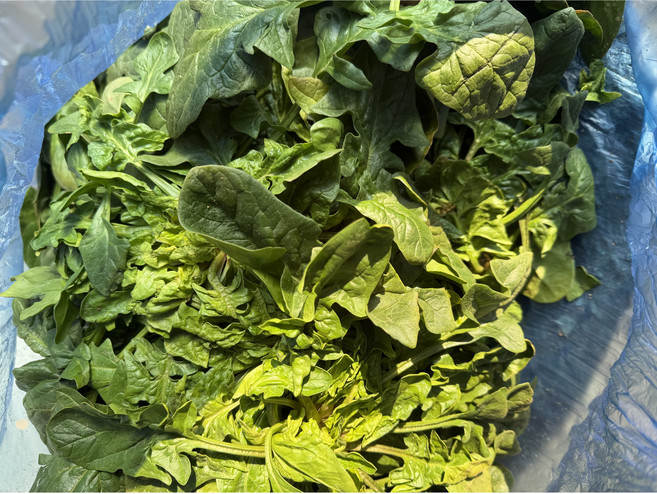 국내산 시금치, 1박스, 4kg