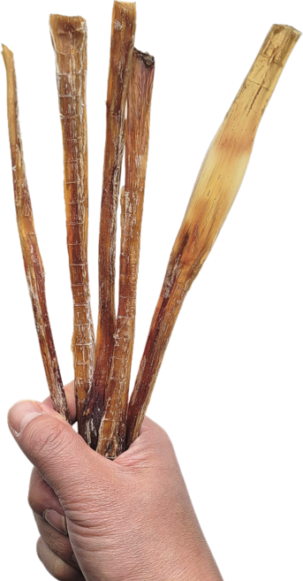 해피테일 몽골 말힘줄 말고기 육포 강아지 오래먹는 수제간식 개껌, 1개, 12g, 대왕 말힘줄