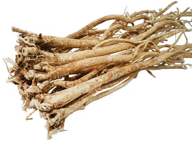 제천 제원약초 100% 국내산 4년근 황기(일반형), 1개