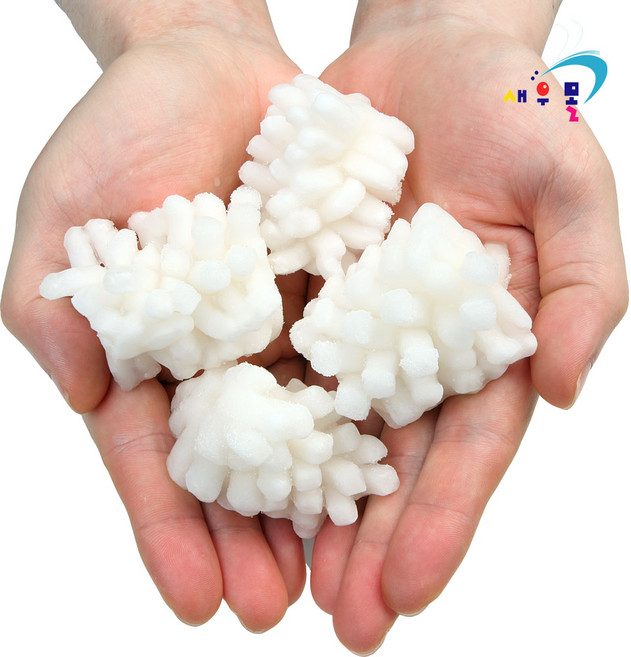 새우몰 솔방울 오징어 200g, 1개