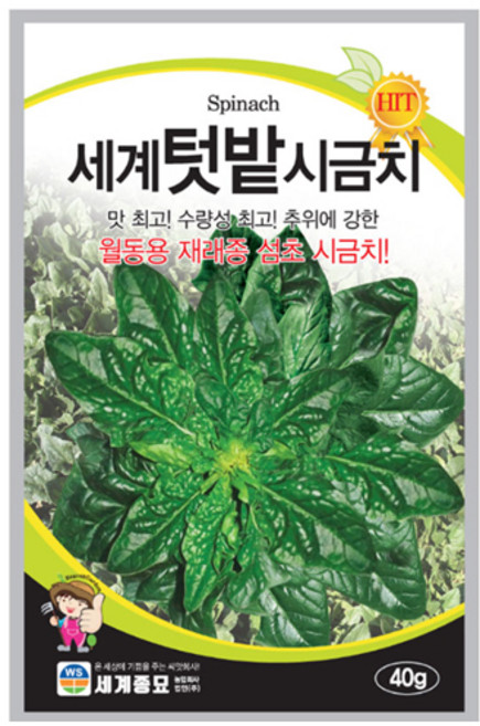 세계텃밭시금치 40g 시금치씨앗 월동용 재래종 섬초, 3개