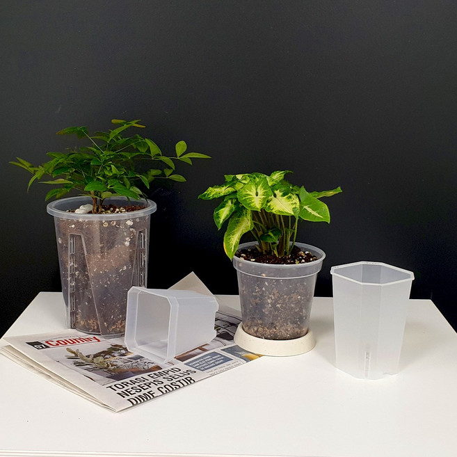 투명 플라스틱 슬릿 화분 모음 마이플랜트, 05.턱진 원형 투명화분, 08호, 1개