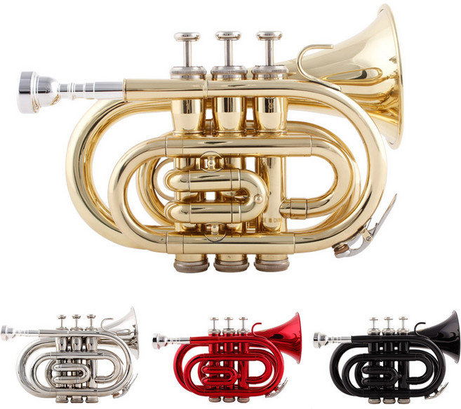 미니 핸드 트럼펫, 골드, 1개