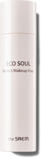 더샘 에코 소울 퍼펙트 메이크업 픽서, 100ml, 1개
