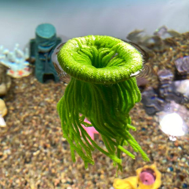 영아쿠아 물에 뜨는 부상식 털실 코리 산란실 하스타투스, 1개