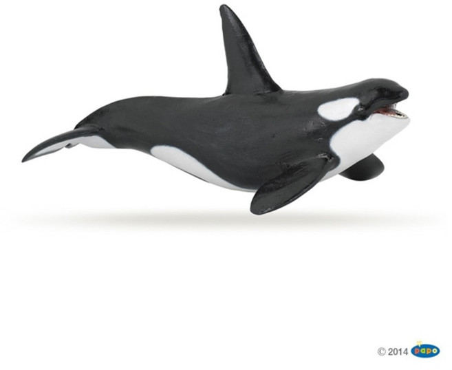 범고래 파포 피규어, 1개