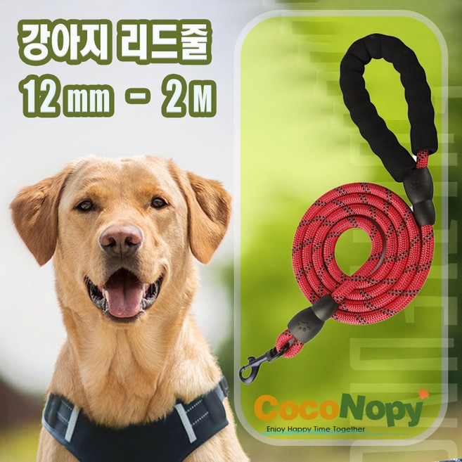 코코노피 강아지리드줄 목줄 강아지산책줄 소형견 중형견 대형견 애견 반려견 로프 리드줄 [ 12mm - 2 M }, 레드, 1개