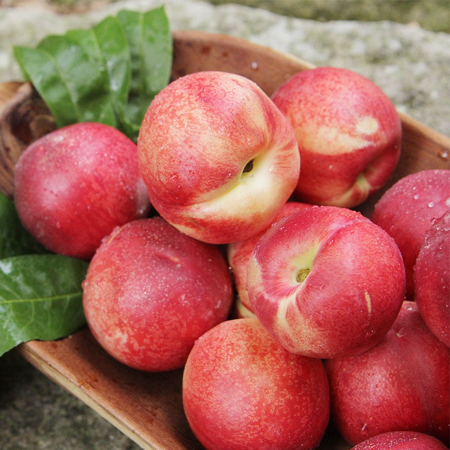 첫출하 고당도 신비복숭아, 1박스, 중대과 2kg(18과 내외)