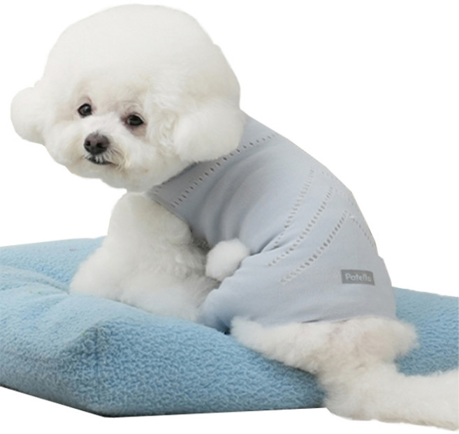 브이랩 파텔라 강아지 슬개골탈구 보호의류 라이트블루, Basic