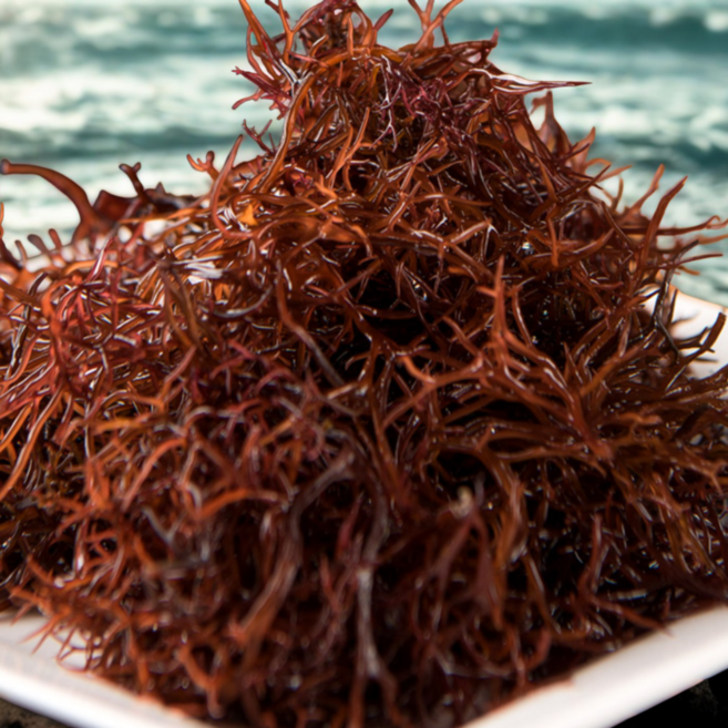 (국내산) 자연산 완도 건 세모가사리 100g / 저칼로리 해초 / 다이어트 키토 식단 추천 / 완도산/ 헬시푸드/ 가시리/ 마른해초, 1개