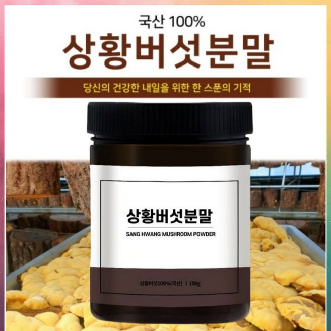 국산 100% 상황버섯 분말 100g 베타글루칸 폴리페놀 면역 건강 선물, 1개
