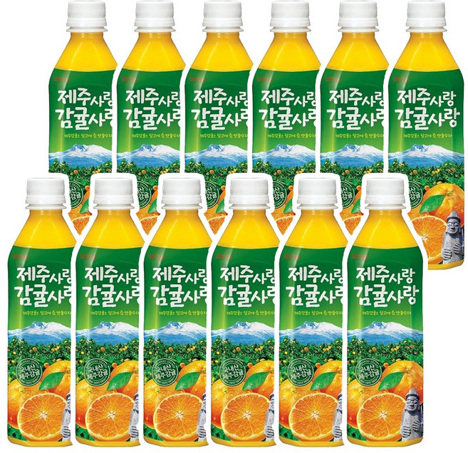 롯데칠성음료 제주감귤 500ml x 12펫, 12개