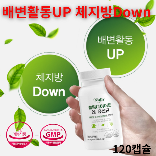 [상상건몰] 뉴일리 장건강 슬림 다이어트 앤 유산균 체지방 중년 뱃살 가르시니아 120캡슐, 450mg, 2개, 120정