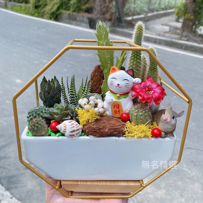 原創 八角瓷花盆 招財貓 開幕祝賀盆栽 店內擺飾 多肉植物 室內植物 新居落成 開幕送禮, 1個, 白色
