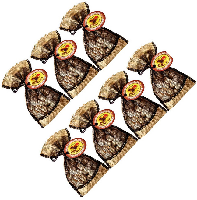 SMN 헤이즐럿 커피방향제 탈취 겸용 자동차 차량용 탈취제 옷장 욕실 거실, 7개, 커피향