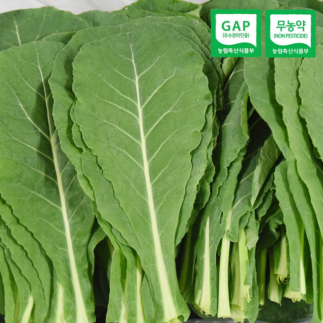 [햇님농장] 충주 유기농 케일 1kg, 1세트