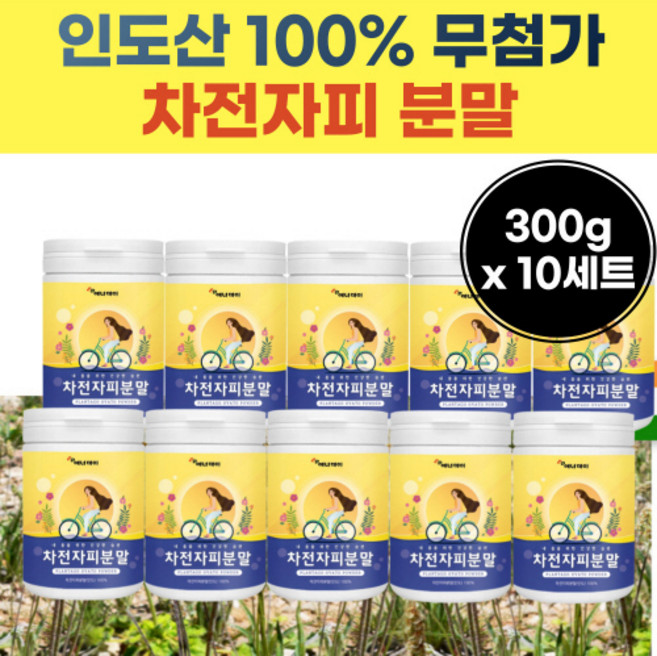 백프로 인도 산 치전자 피 파우더 차전자 피 자전 자 비 추출 물 가루 분말 파우다 치전 차 피 붐말 여성 여자 어르신 시니어 50 대 60 세 40 대 오십대, 300g, 10개