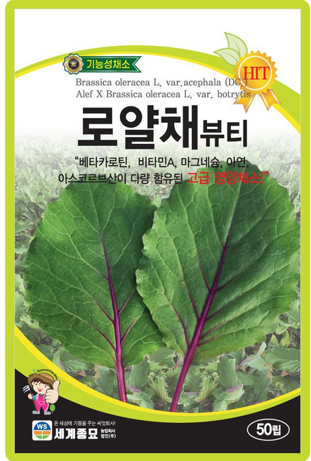 세계종묘 로얄채뷰티 씨앗 50립 케일 적색 꽃양배추 교배종 케일씨 종자, 1개