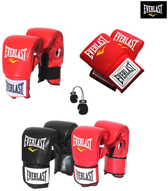 에버라스트 프로 백글러브 프로페셔널 복싱글러브 권투장갑, 1개, 하이 퍼포먼스 프로 블랙