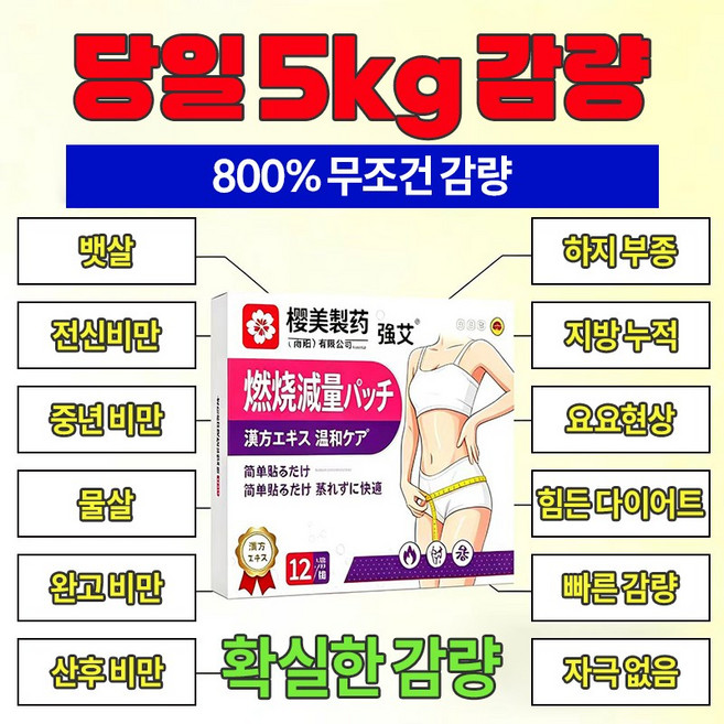 {당일배송 | 전신적용}퓨어 플랜트 다이어트 패치 팔뚝살 패치 뱃살 독소 패치 복부 내장지방분해 종아리 패치 날씬하고 싶은 곳에 부착, 1개, 12개입