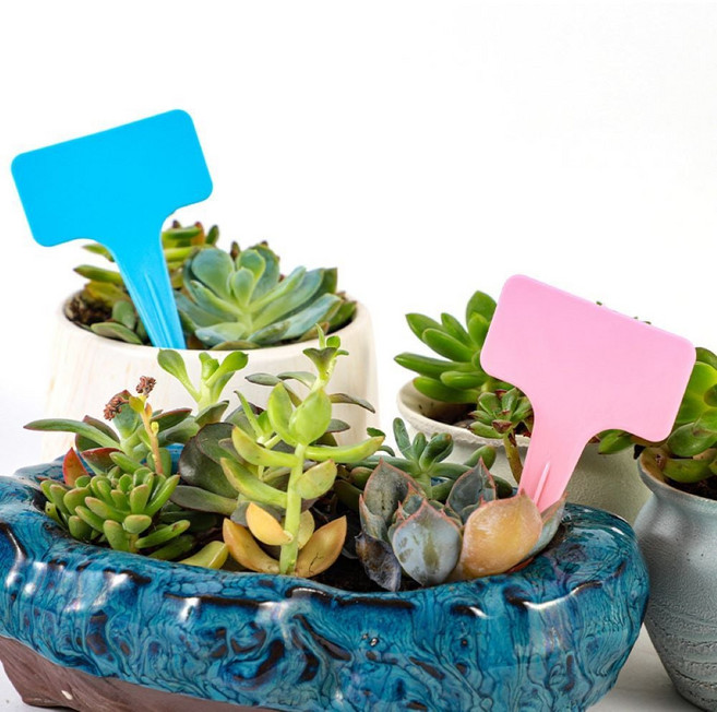 정원가꾸기 식물표 태그 화분품명표 정원표지세트