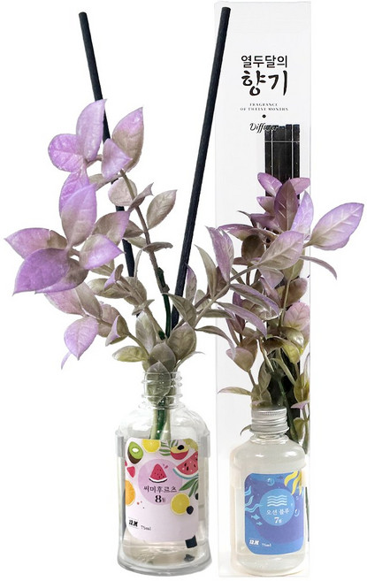 열두달의향기 벽 디퓨저 부착식 홀더+플라워데코 75ml, 1개, 5월 가든플라워