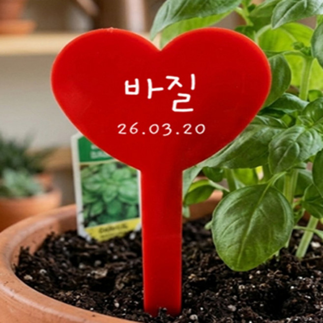 토리 하트모양 식물 네임택 20개 화분이름표, 화이트