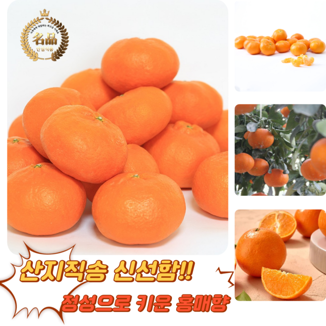 [굿피플] 홍매향 제주홍매향 홍미향 썬레드 홍미향귤 레드향 귤, 1박스, 홍매향 3kg중과(24-36과)