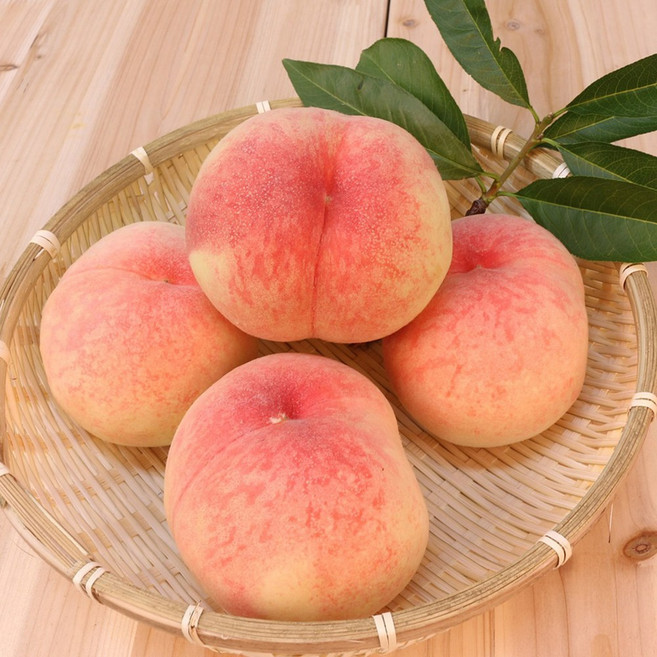 당도대장 하우스 복숭아, 1개, 2kg(중과 11~14과)