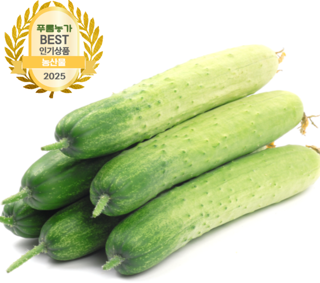 푸름농가 국내산 오이지용 백다다기 오이 최상품, 1개, 2k