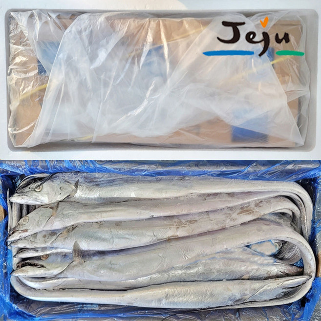 제주 선동갈치 파갈치 10kg 갈치네이션 냉동 갈치 업소용 은갈치 도매 제주갈치 13미 18미 25미 33미 45미 55미 풀치 제주한림수산, 1박스, 대+(23~25미/10kg)