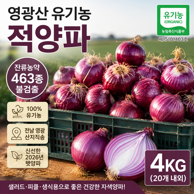 영광 유기농 적양파 4kg 산지직송 국내산 자색양파 샐러드 피클용, 1개
