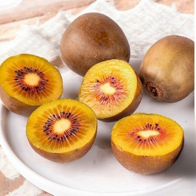 동명 상큼달달 제주 레드키위 루비 초고당도 20brix, 10개, 750g, 소과