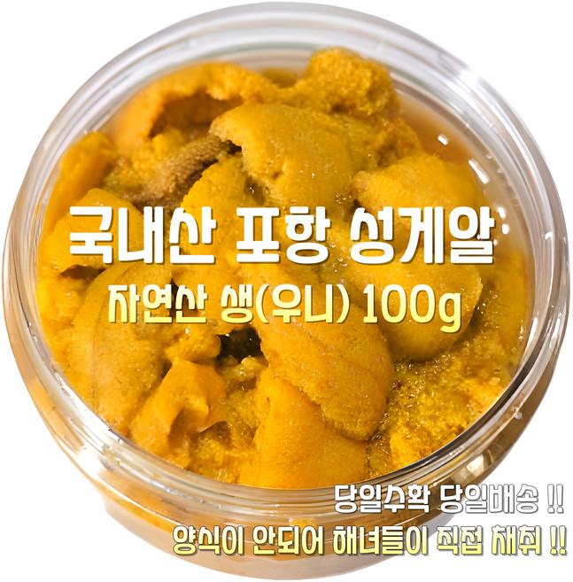 [산지직송] 국내산 자연산 새벽조업 당일배송 포항.여수 생물 최고급 제철 성게알 우니 선물용 가정용, 1세트, 새벽조업 당일배송 포항.여수 최고급 성게알우니 100g