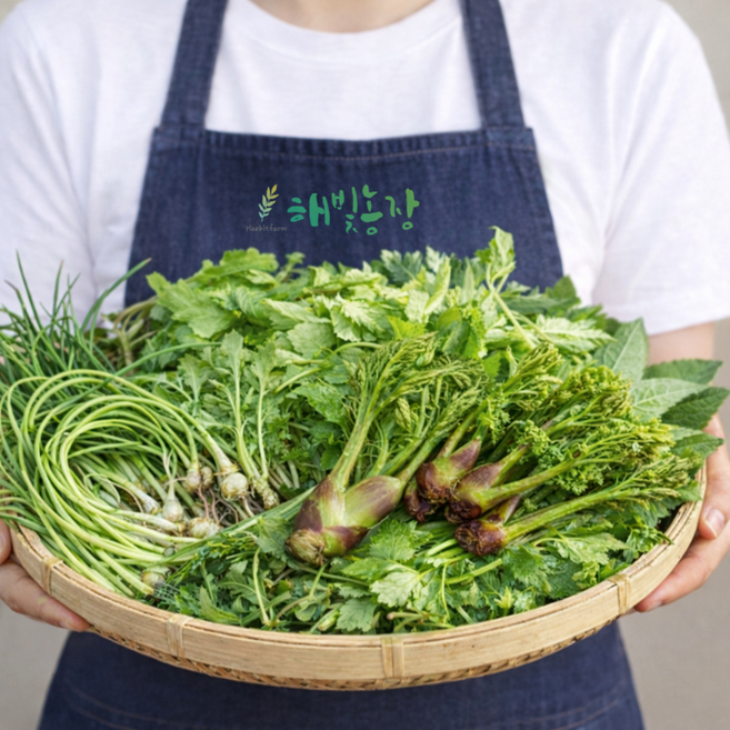 [해빛농장]봄나물 두릅 달래 머위 세발 호박잎 냉이 뽕잎 방풍 부지깽이 생명이 눈개승마 골라담기, 데친 건취나물 200g, 1