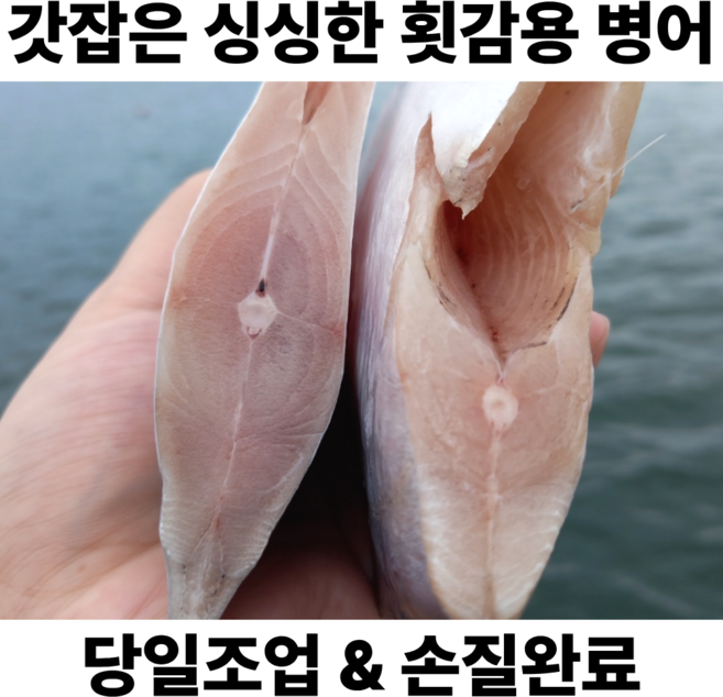 국산 손질 생물 병어 비손질 병어 구이용 병어횟감, 1박스, 횟감용 병어 600g (손질)