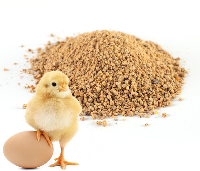육계전기5kg 병아리사료 병아리모이 청계 오골계 토종닭사료, 5kg, 1개