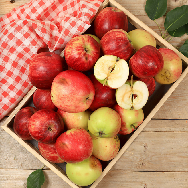 [초특가할인] 루비에스 사과 미니사과 꼬마사과 한입사과, 1개, 루비에스 가정용 2kg