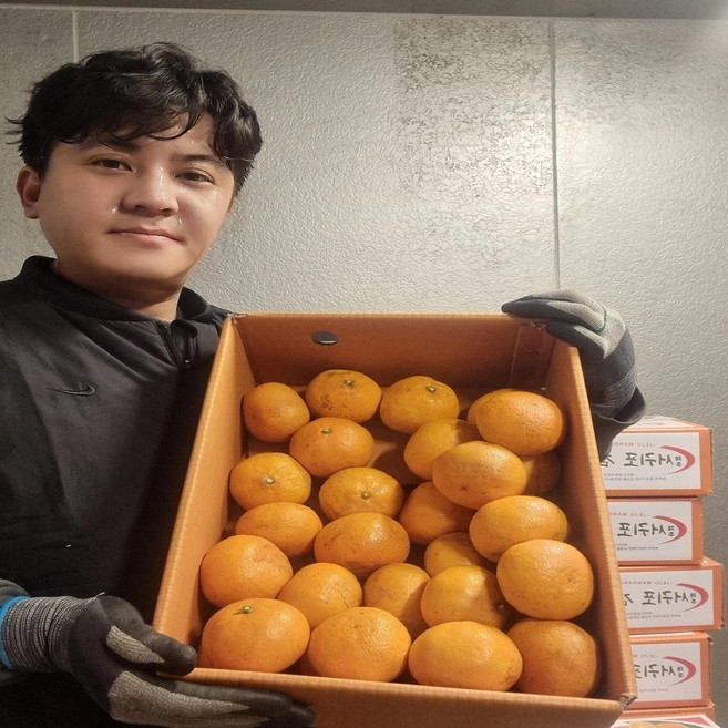 가락시장 못난이 감귤, 1개, 못난이 감귤 대과&랜덤과 9~10kg