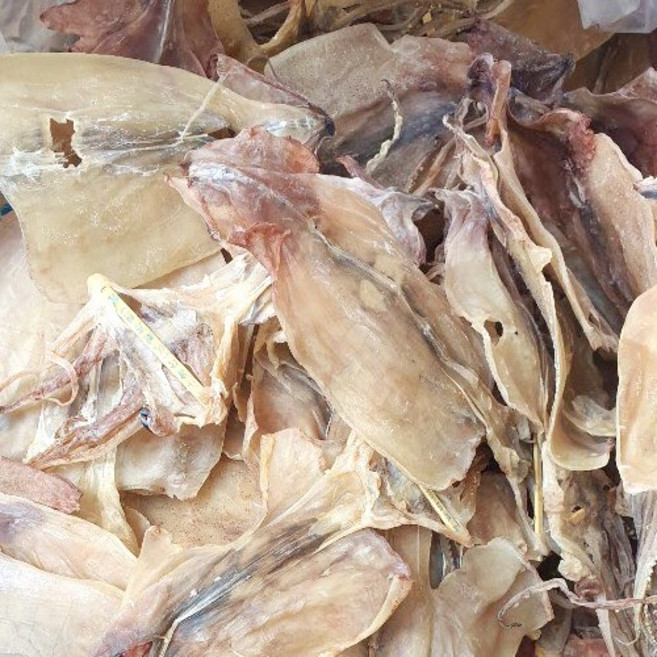 홍쓰건어물 파품오징어 500g (7~12)마리 원양산 국내가공, 1개