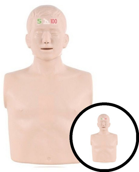 B100 CPR교육용마네킹 누르고 기본형 CPR 교육 마네킹 TLs07335 dda+46835Cl