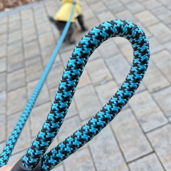 제이제이펫 강아지 리드줄 스트롱 로프 8mm 12mm 16mm 20mm 소형견 중형견 대형견 개줄 통줄 산책줄, 파랑, 1개