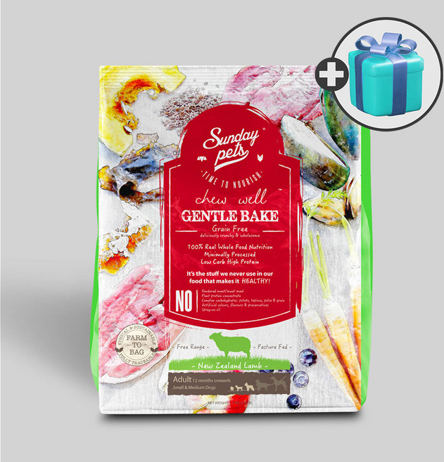 선데이펫 젠틀베이크 오븐베이크 사료 양고기 + 국산 가수분해간식 400g, 1.3kg, 1개, 양